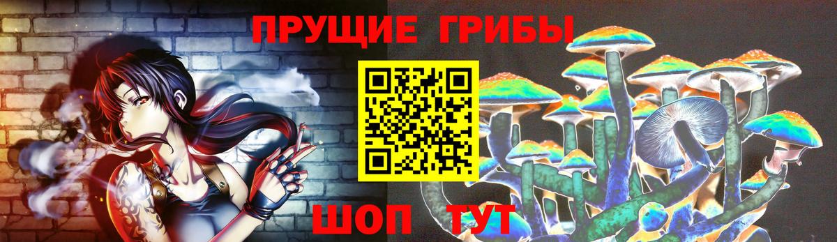 Саров  Псилоцибиновые грибы прущие грибы  Вход с VPN 